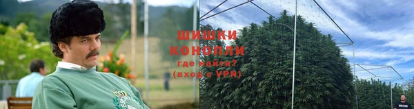 спайс Ельня