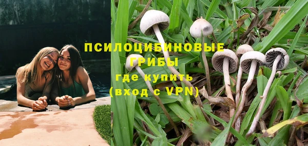 марки nbome Беломорск